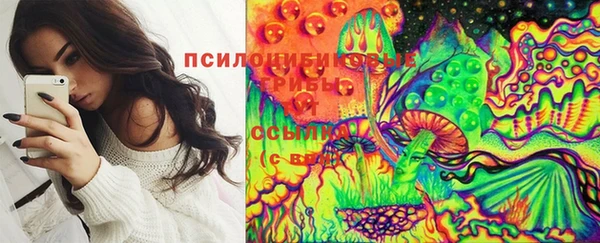 а пвп мука Горно-Алтайск