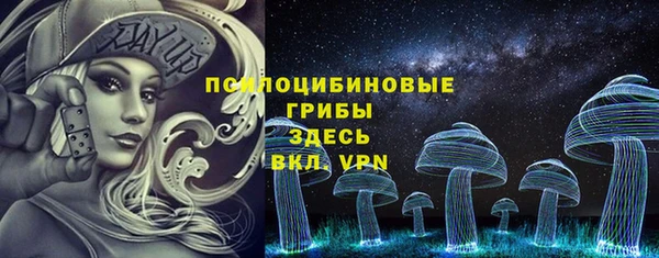 спиды Горняк
