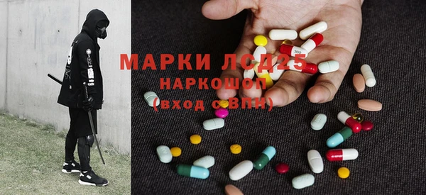 спиды Горняк