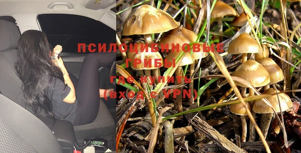 спиды Горняк