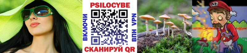 Купить закладки  Кохма  Псилоцибиновые грибы Psilocybe 